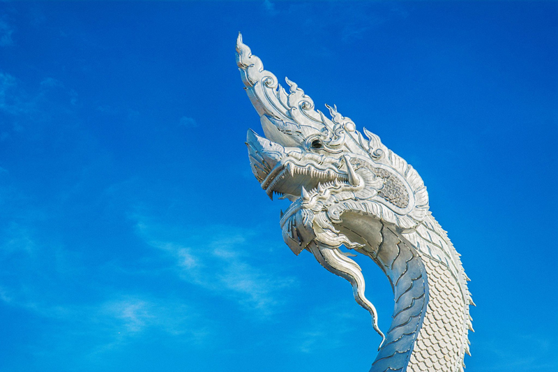 hongthong hongthong