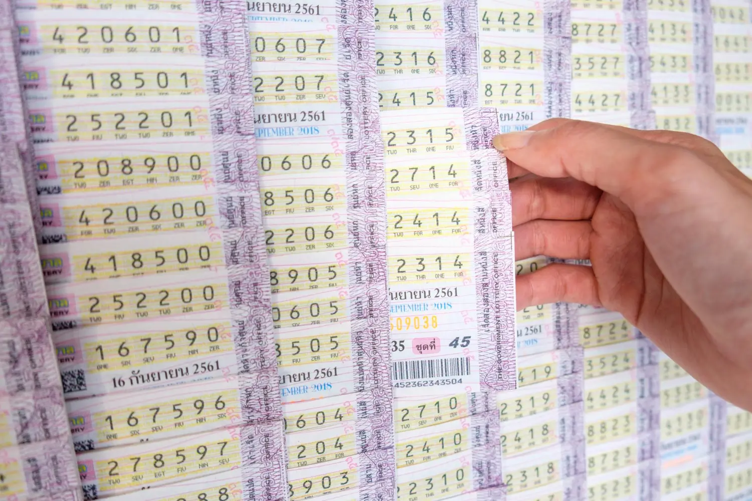 hongthong-lottery-check